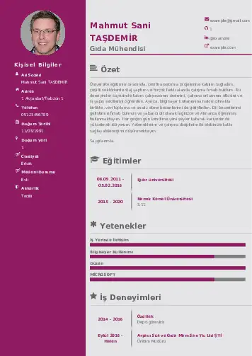 Gıda Mühendisi CV Örnekleri cv indir